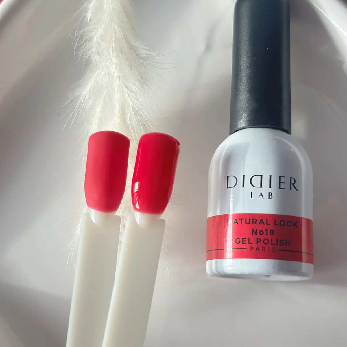 VERNIZ GEL "Didier Lab", Natural Look, No.18