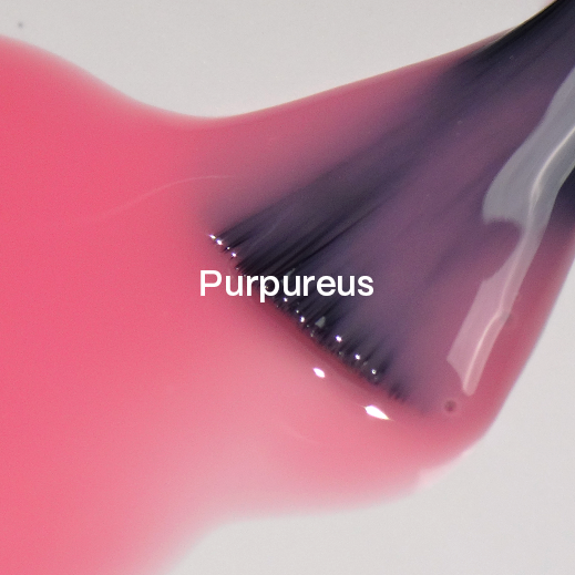 Verniz Gel "Didier Lab", purpureus, 8ml, HEMA FREE