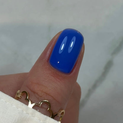 Builder Gel BBIO "Didier Lab" Rich Blue 15ml, HEMA FREE