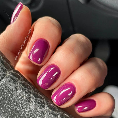 Verniz Gel "Didier Lab", Missing You, 8ml