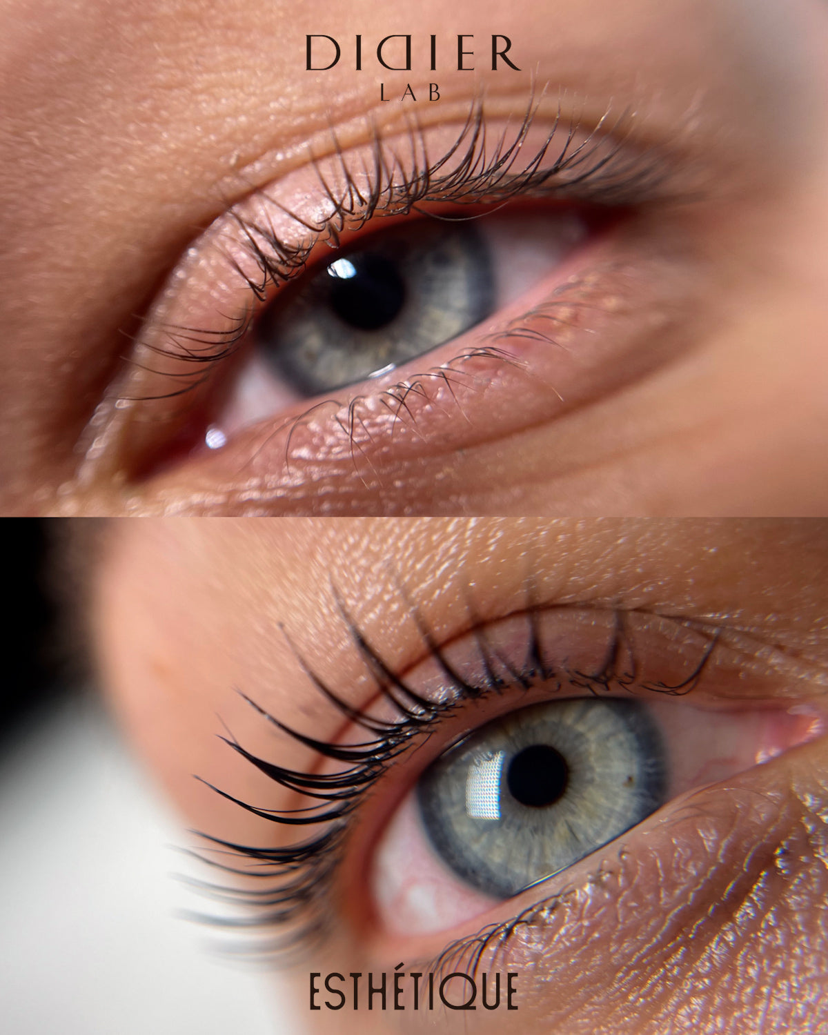 Lotion Lash Setting Didier Lab Esthétique, 1,5ml x 10 unidades.